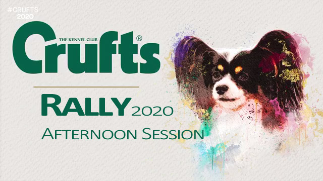 Crufts Afternoon Session