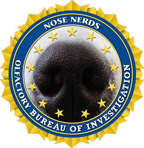 Nerds Logo