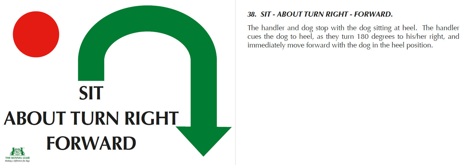 Sit/About Turn Right/Forward