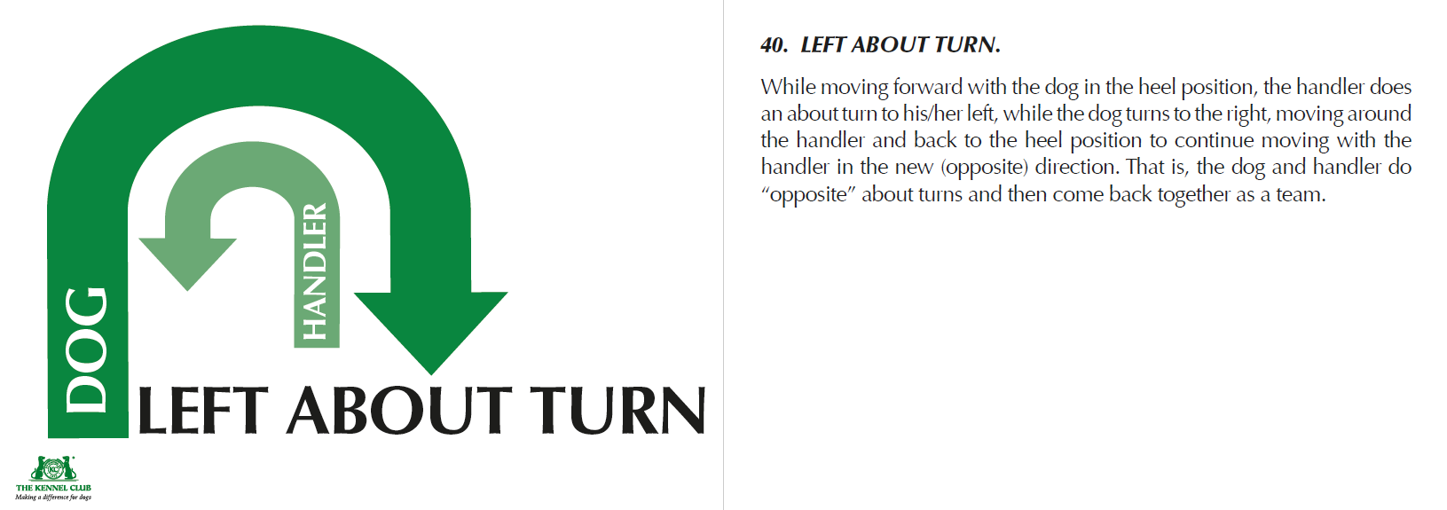 About Left Turn