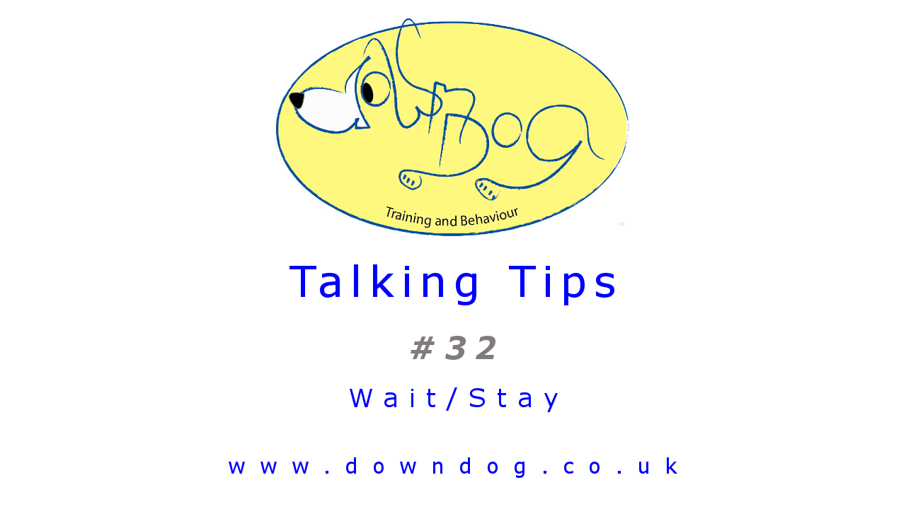 Tip 32 - Wait/Stay