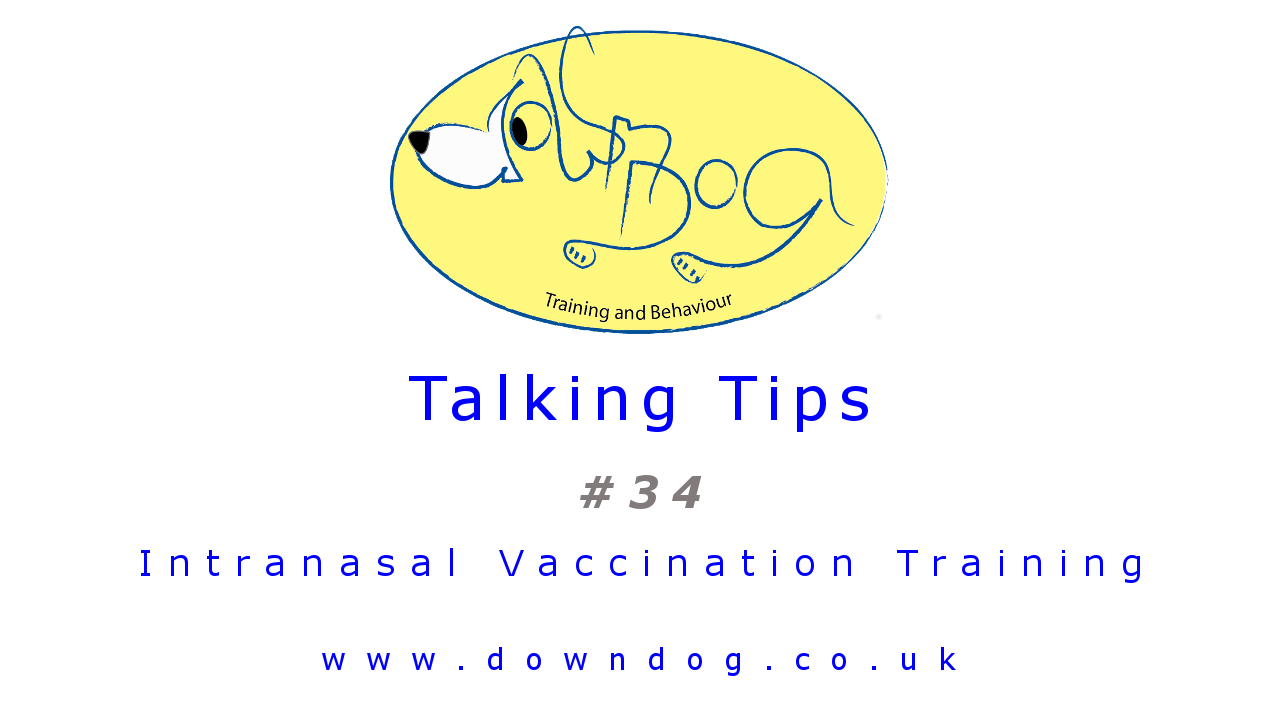 Tip 34 - Intranasal Vaccination Training